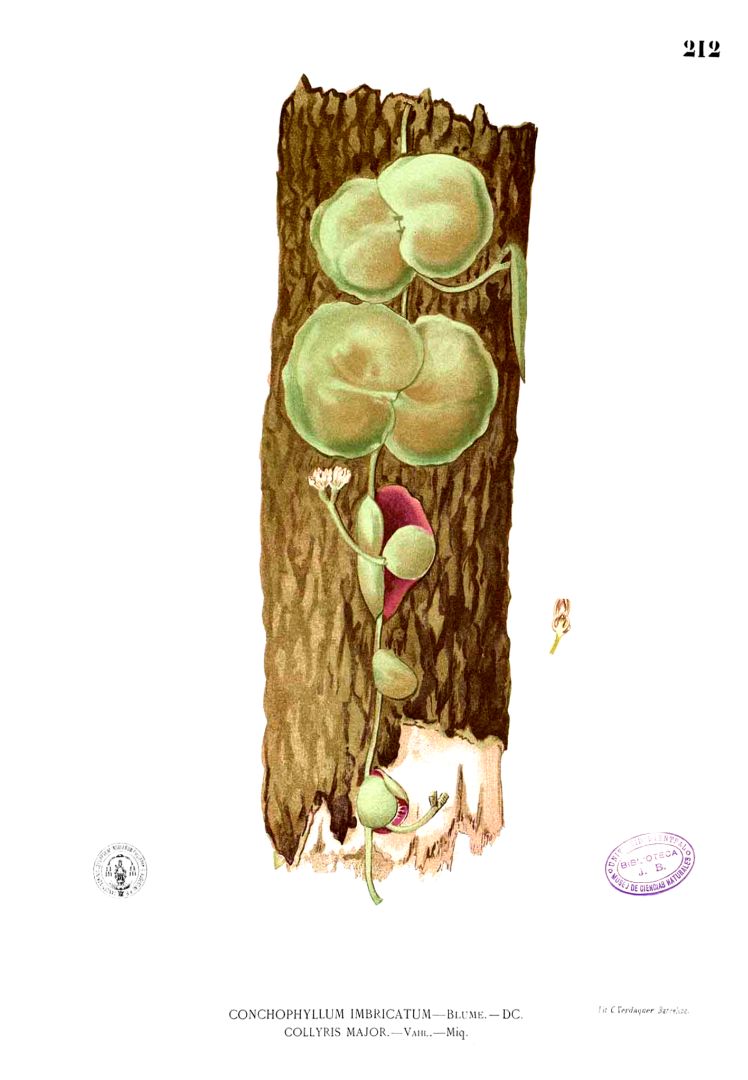 no HD illustration available (3)