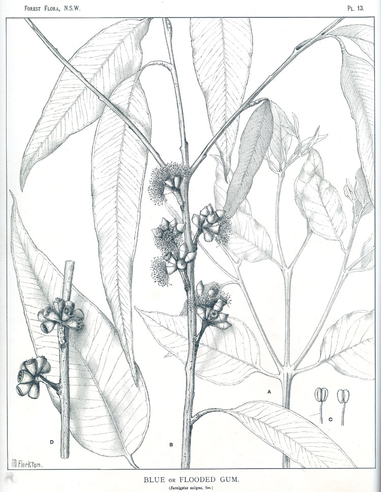 no HD illustration available (3)