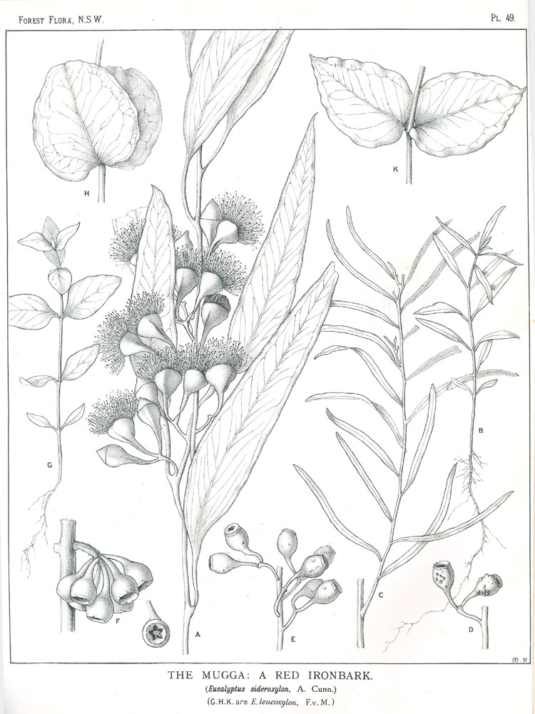 no HD illustration available (3)