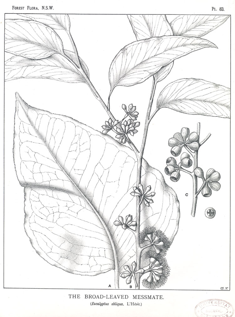 no HD illustration available (3)