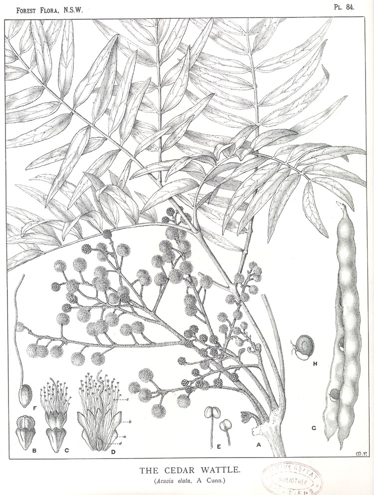 no HD illustration available (3)