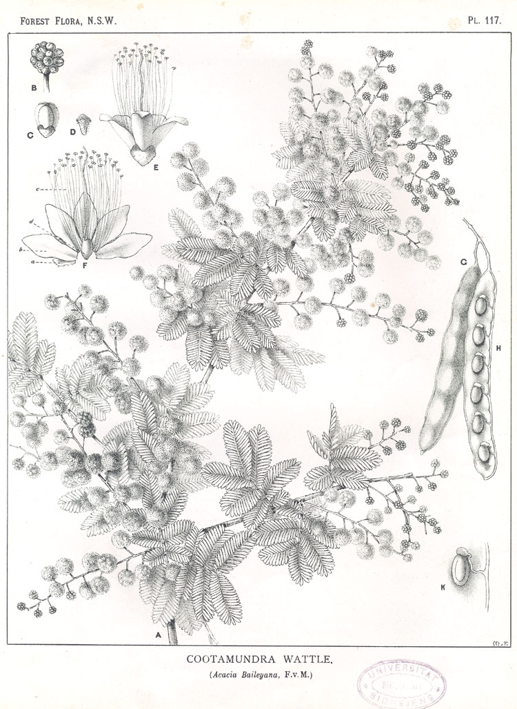 no HD illustration available (3)