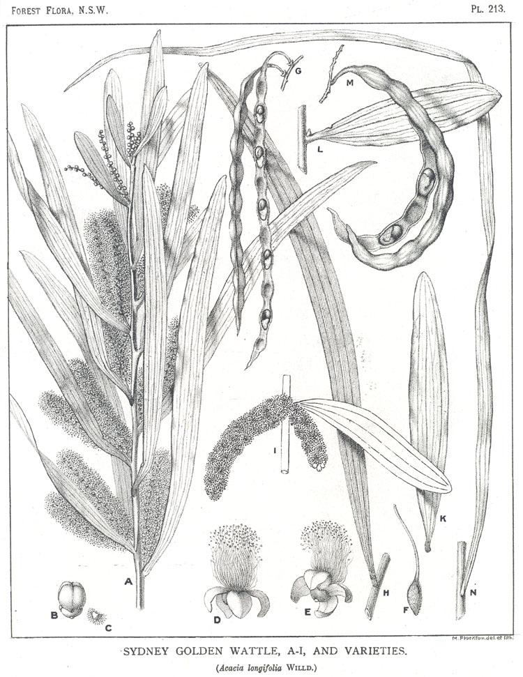 no HD illustration available (3)