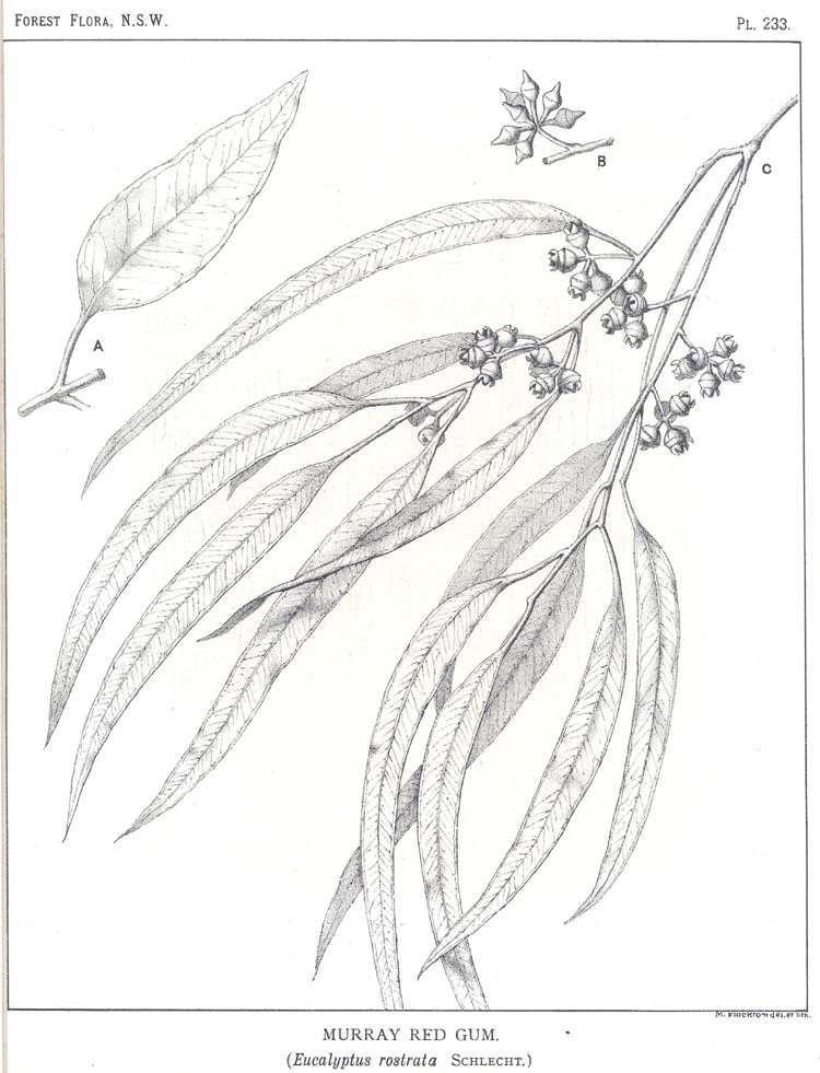no HD illustration available (3)