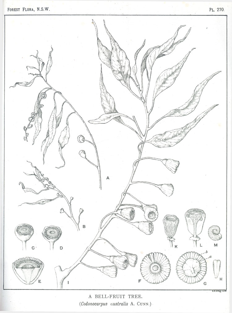 no HD illustration available (3)