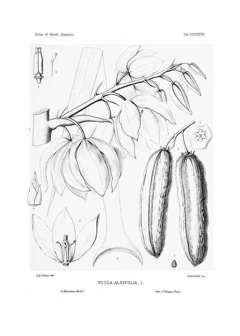 no HD illustration available (3)