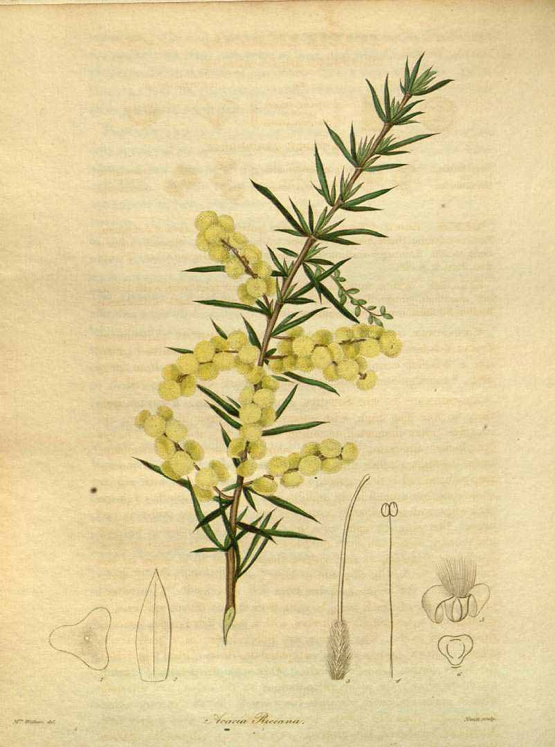 no HD illustration available (3)