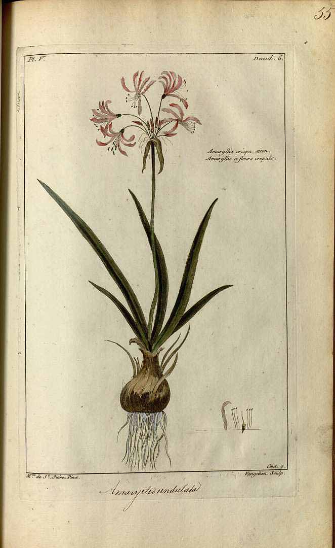 no HD illustration available (3)