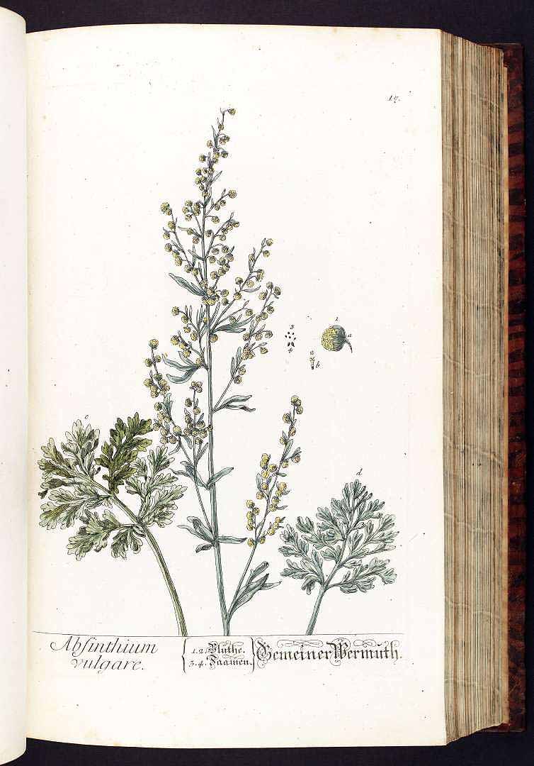 no HD illustration available (3)