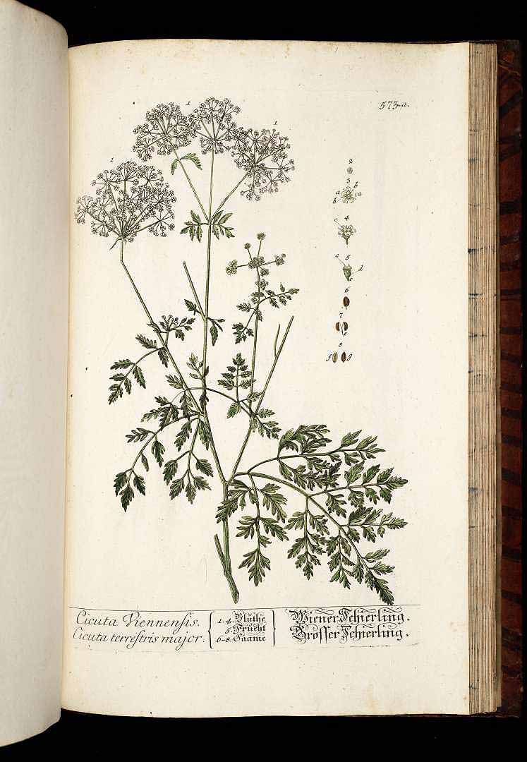 no HD illustration available (3)