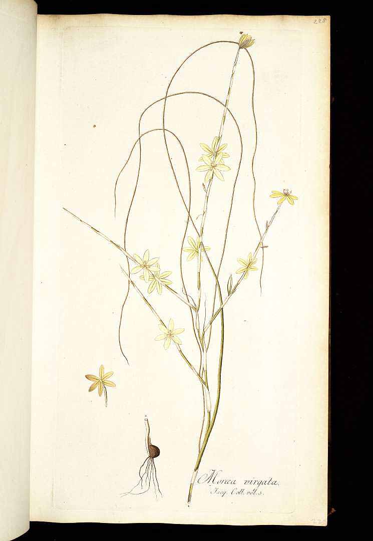 no HD illustration available (3)