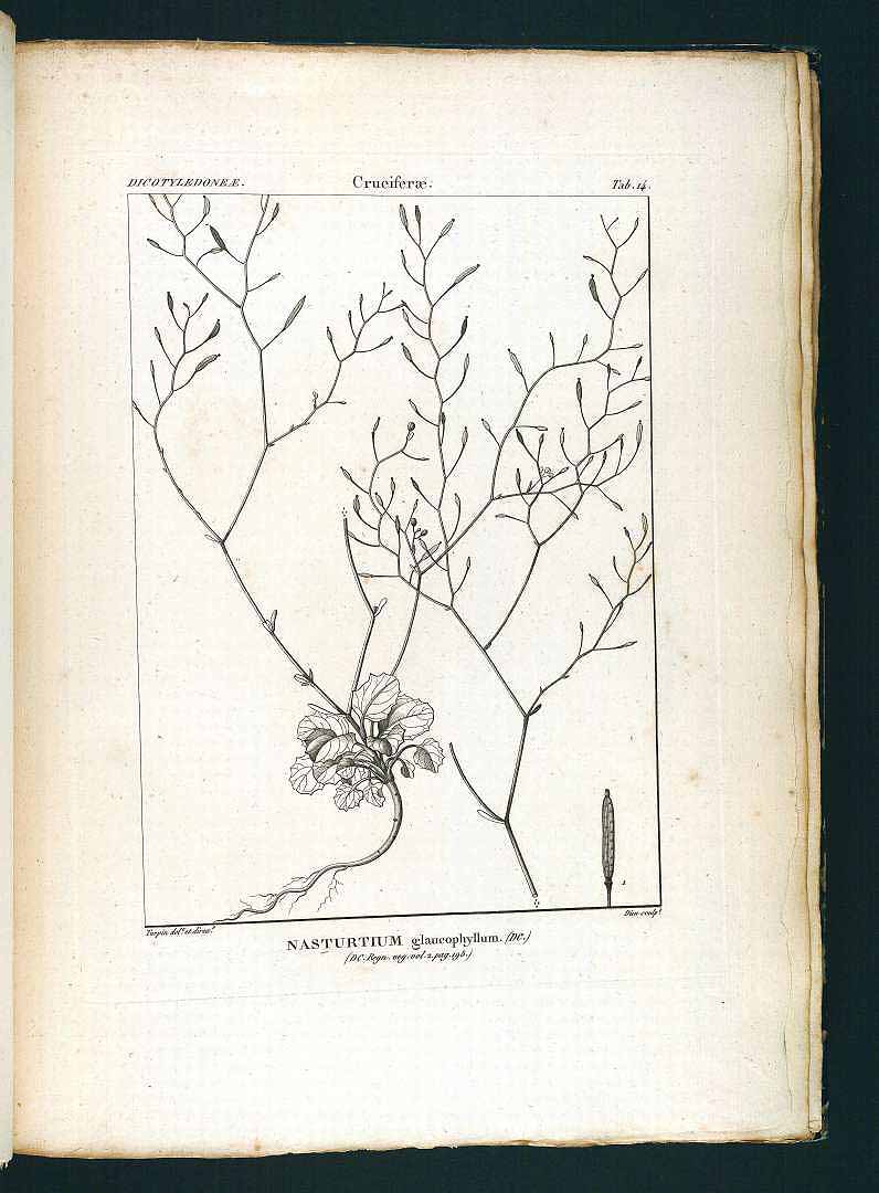 no HD illustration available (3)