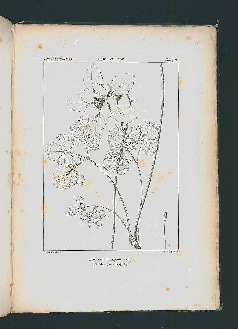 no HD illustration available (3)