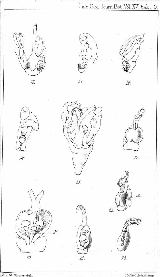 no HD illustration available (3)