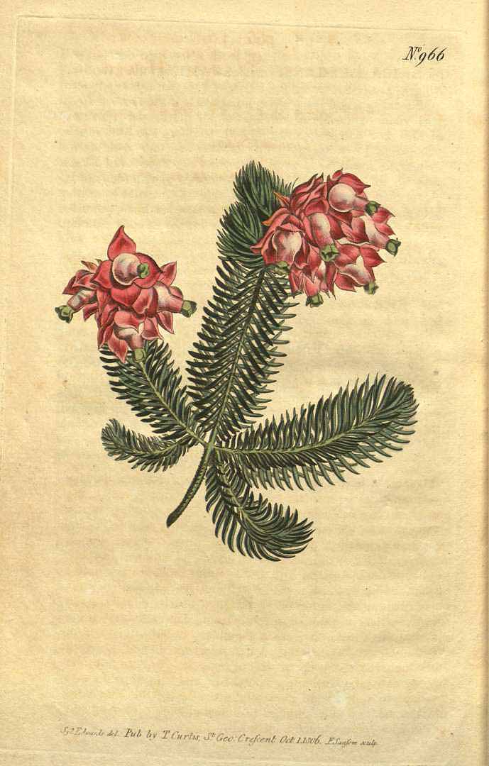no HD illustration available (3)