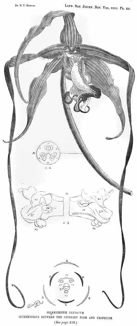 no HD illustration available (3)