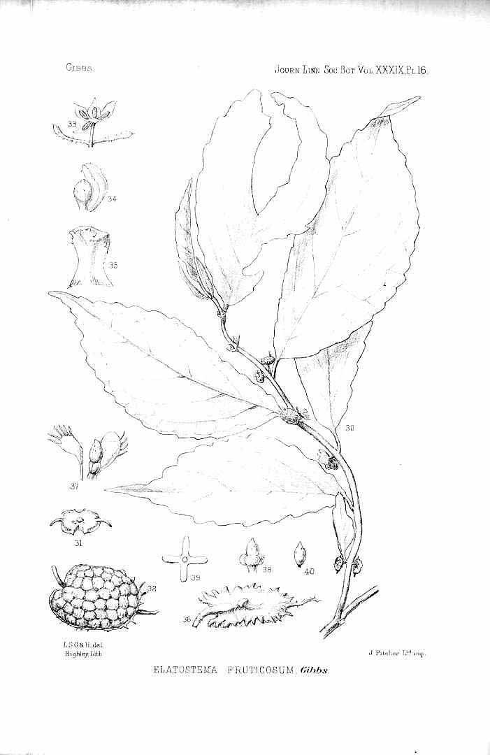 no HD illustration available (m1)