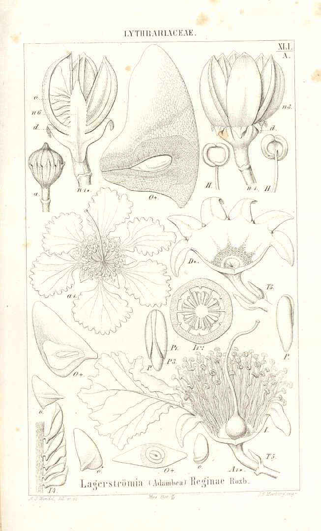 no HD illustration available (3)