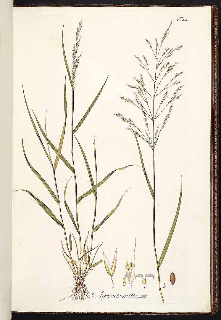 no HD illustration available (3)