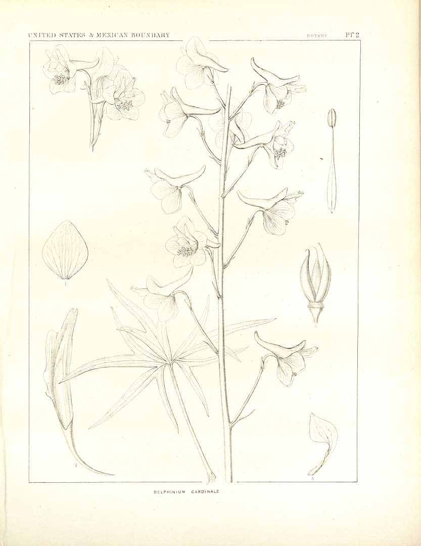 no HD illustration available (3)