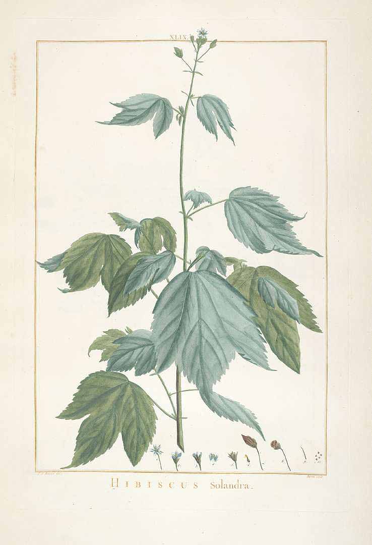 no HD illustration available (3)