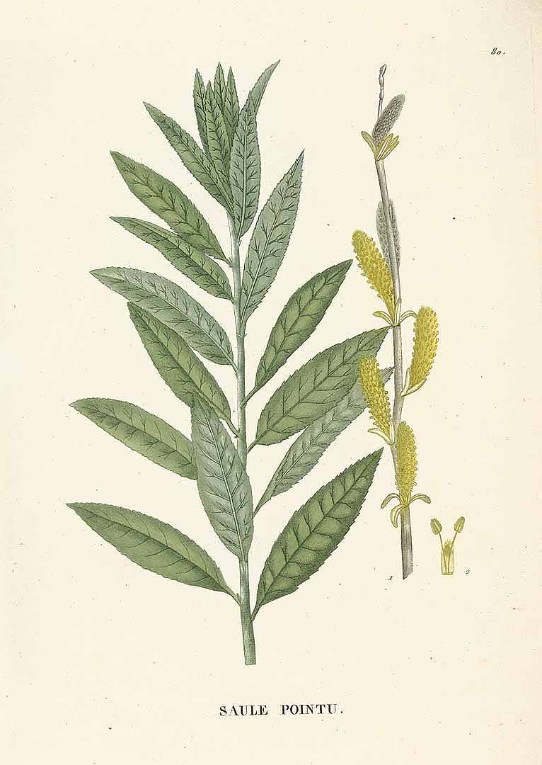 no HD illustration available (3)