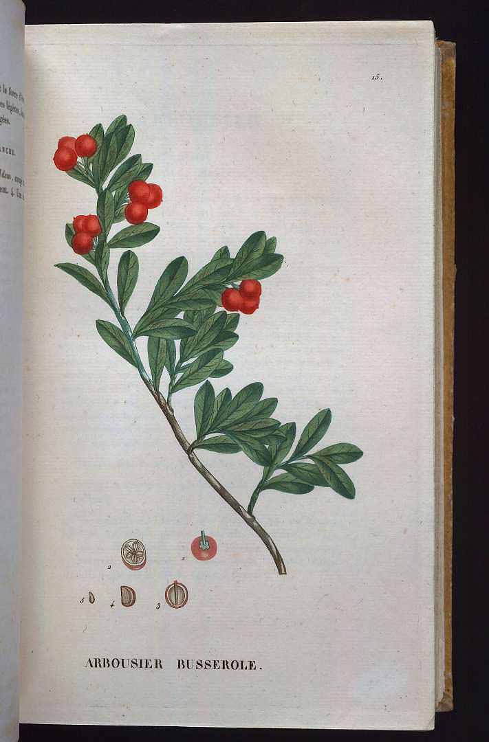 no HD illustration available (3)