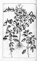 no thumbnail available (2)
