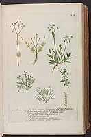  no thumbnail available (2)