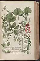  no thumbnail available (2)