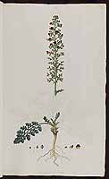  no thumbnail available (2)