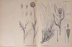  no thumbnail available (2)