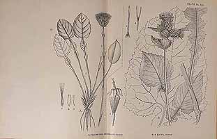  no thumbnail available (2)