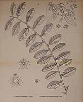  no thumbnail available (2)