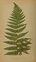  no thumbnail available (2)