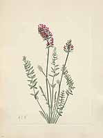  no thumbnail available (2)
