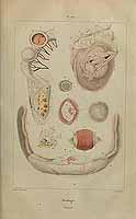  no thumbnail available (2)
