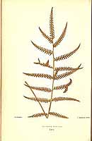  no thumbnail available (2)