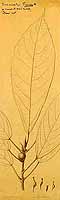  no thumbnail available (2)