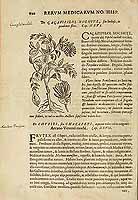  no thumbnail available (2)