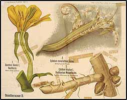  no thumbnail available (2)