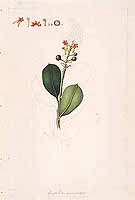  no thumbnail available (2)
