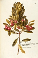  no thumbnail available (2)