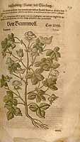  no thumbnail available (2)