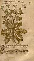  no thumbnail available (2)