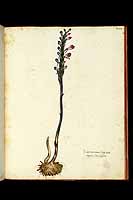  no thumbnail available (2)