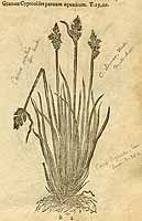  no thumbnail available (2)