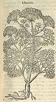  no thumbnail available (2)