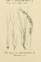  no thumbnail available (2)