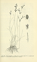  no thumbnail available (2)